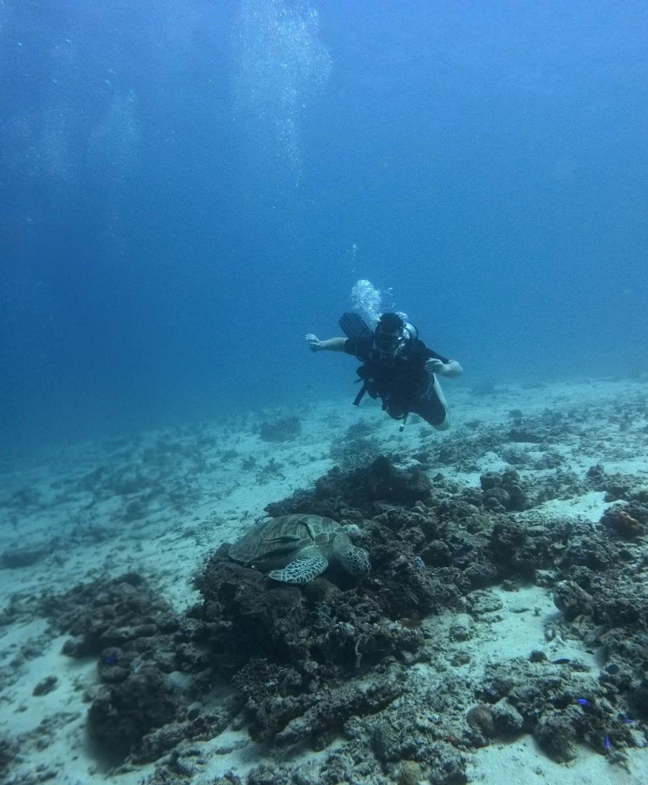 3W Dive Center 2