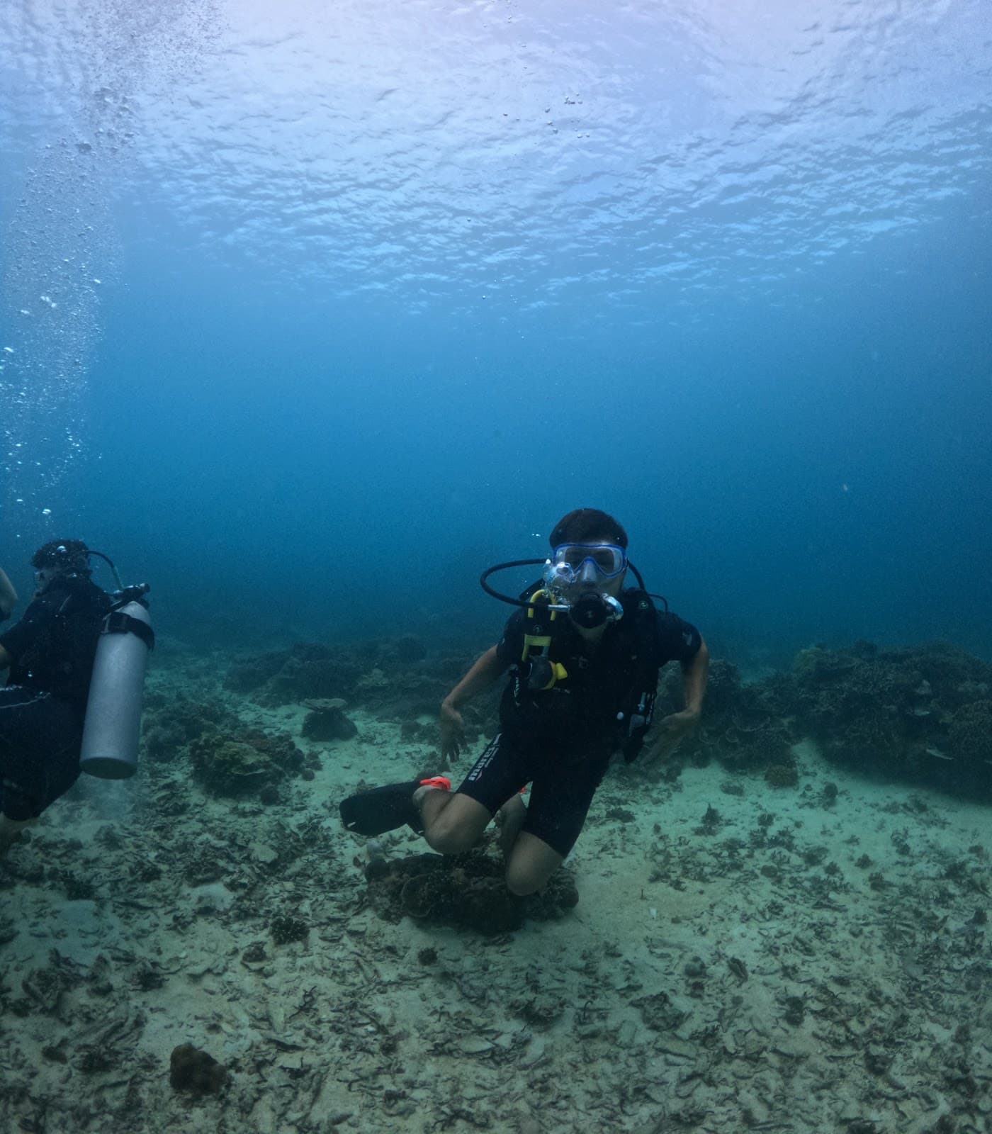 Blue Marine Dive Resort 2