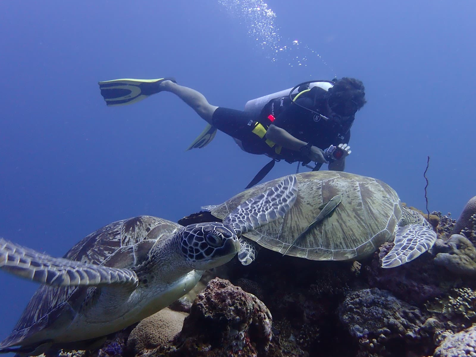 DPM Diving 3