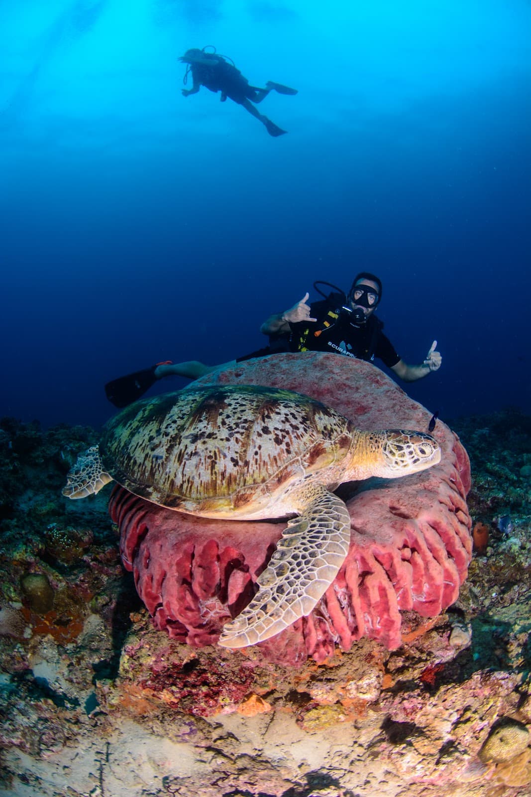 Gili Air Divers 3