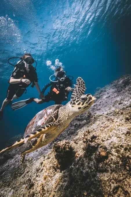 Gili islands divers scuba school 2