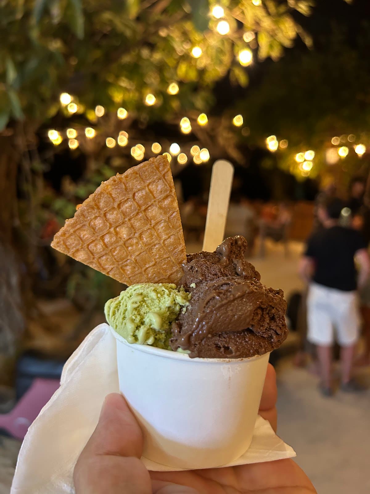 Il Gelato Damonte 2