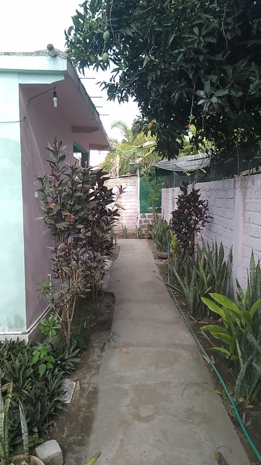 Kaila Homestay 2