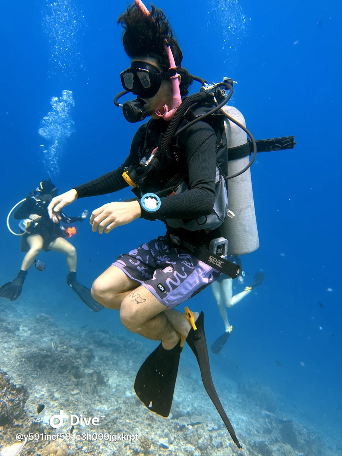 Blue Marlin Dive 2