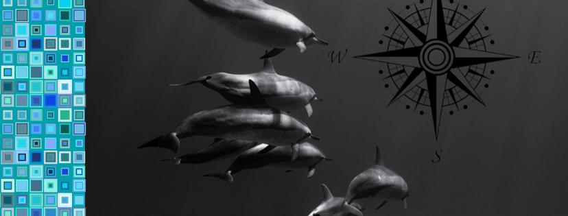 Compass Divers 2