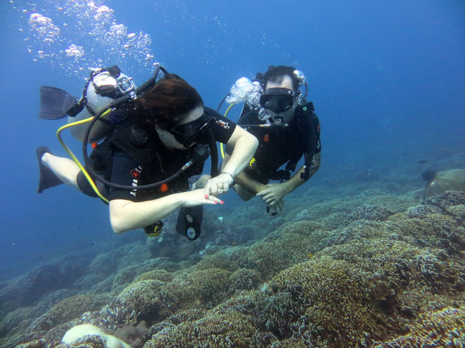 Dive Central Gili 2