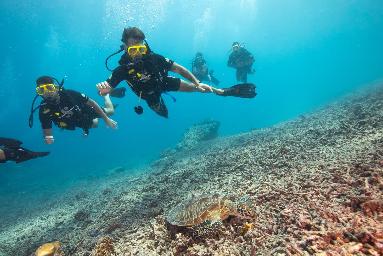Gili Divers 3