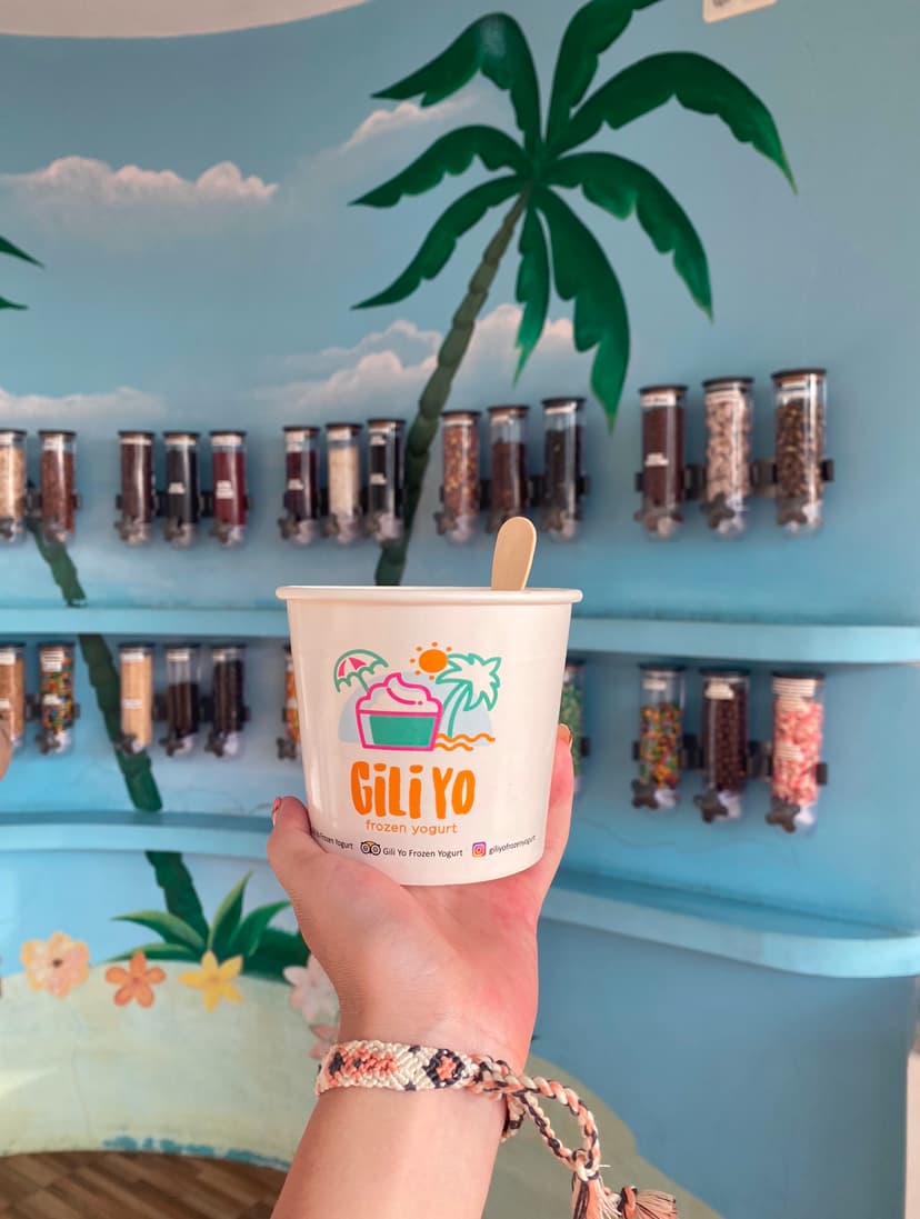 Gili Yo Frozen Yogurt 3