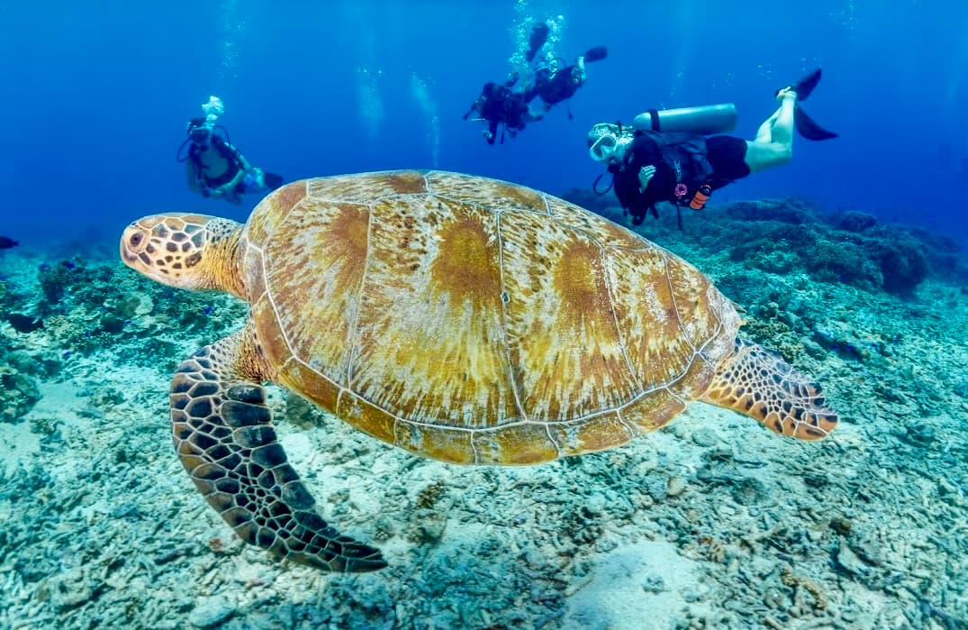 Trawangan Dive Centre 3