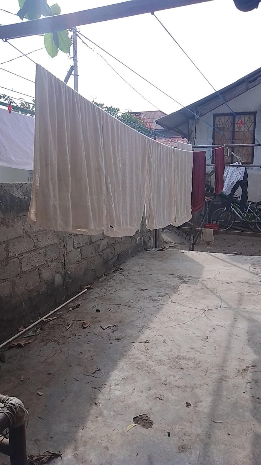 Vania Laundry 3